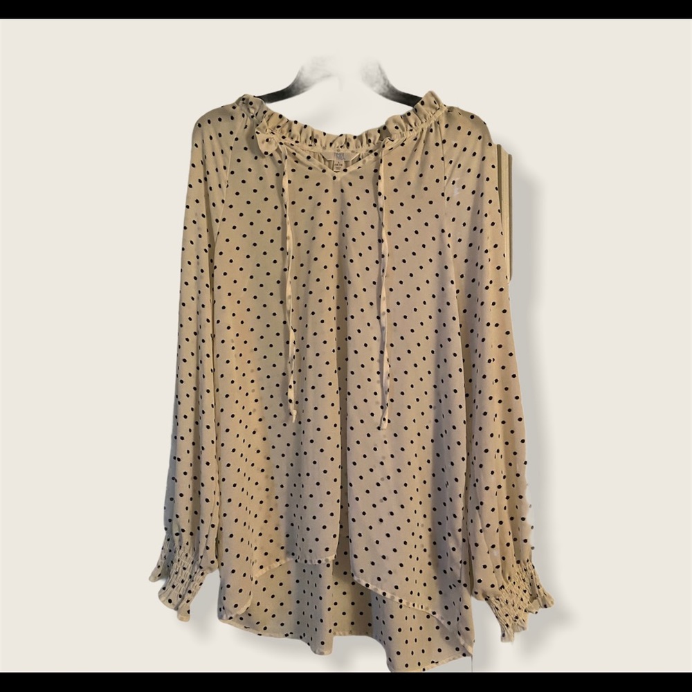 Large Polka Dot blouse